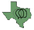 Brain Injury Association of Texas